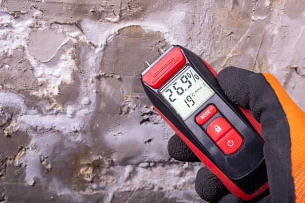 Best Local Mold Removal Service  in Las Campanas, NM