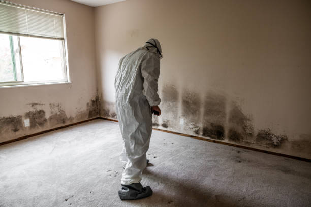 Crawl Space Mold Removal in Las Campanas, NM
